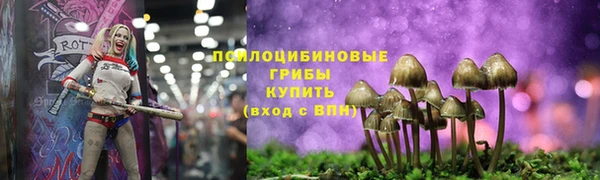 марки lsd Белокуриха