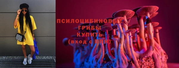 марки lsd Белокуриха