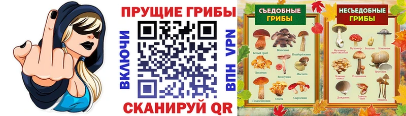 дарнет шоп  Колпашево  Галлюциногенные грибы MAGIC MUSHROOMS 